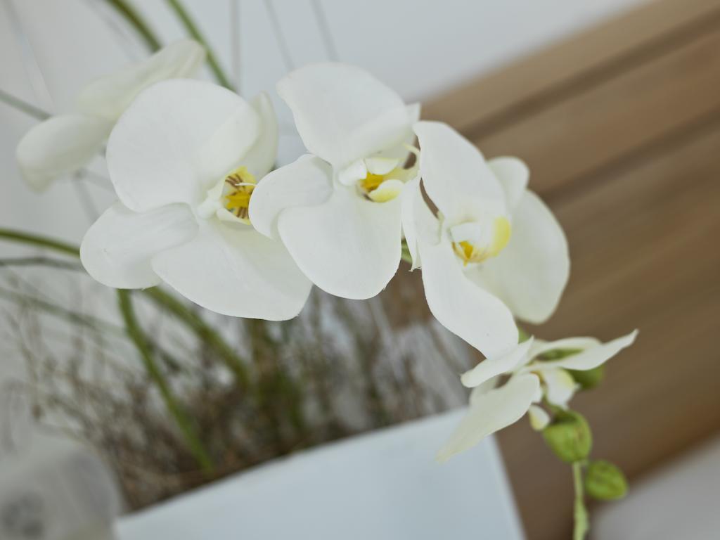 Landhaus Altmuehltal 키펜베르크 외부 사진